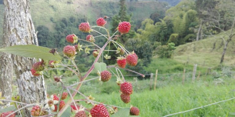 IMG-20180413-WA0055